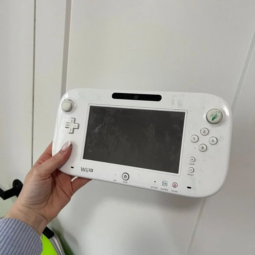 Nintendo wii fit